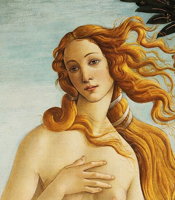 Portret al miresei